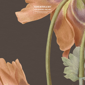 3d动漫精品一区视频在线观看
